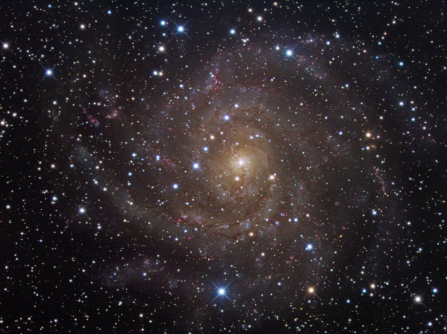 Обои картинки фото галактика, ic, 342, космос, галактики, туманности