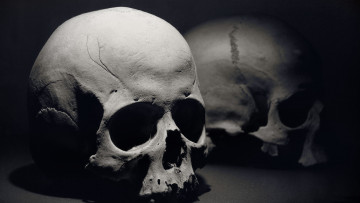 обоя разное, кости, рентген, череп, черно-белое, тьма, скелет