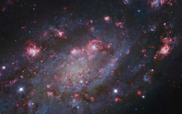 Картинка космос звезды созвездия созвездие жирафа nebula ngc2403 свет