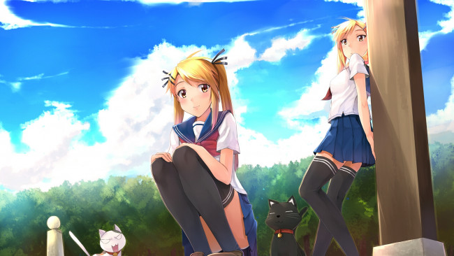 Обои картинки фото аниме, nyankoi, девушки, кошки, дерево, небо