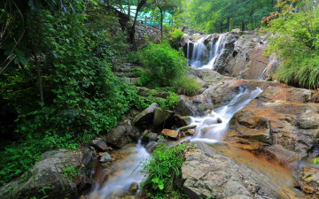 Картинка природа водопады камни ручей зелень