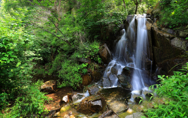 Обои картинки фото природа, водопады, камни, ручей, зелень