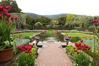 Картинка filoli gardens калифорния сша природа парк сад фонтан тюльпаны деревья клумбы