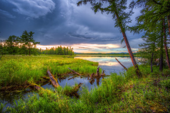 Картинка природа реки озера река озеро лес трава коряги тучи
