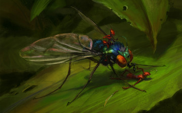 Картинка фэнтези существа крылья муравей