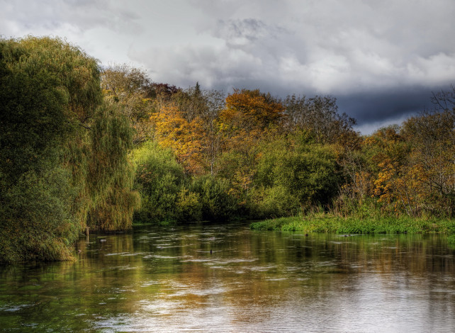 Обои картинки фото река, itchen, hampshire, природа, реки, озера, берега, лес