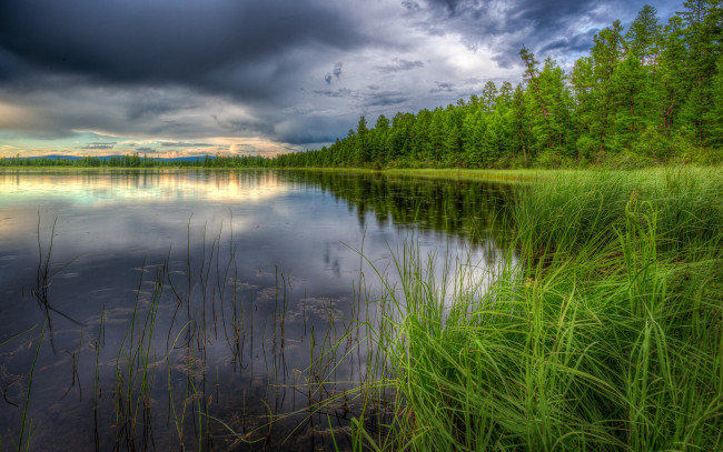 Обои картинки фото природа, реки, озера, озеро, лес, тучи, трава