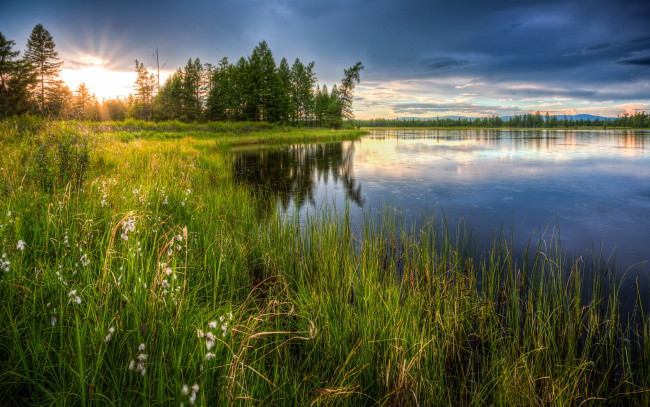 Обои картинки фото природа, реки, озера, солнце, тучи, озеро, деревья, цветы, трава, луг