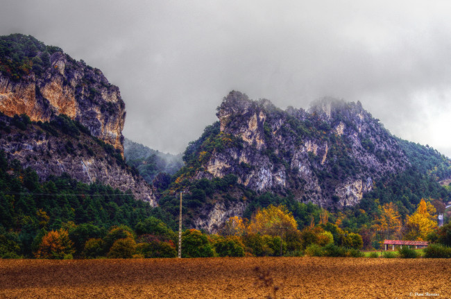 Обои картинки фото испания, бургос, природа, горы, лес, дорога