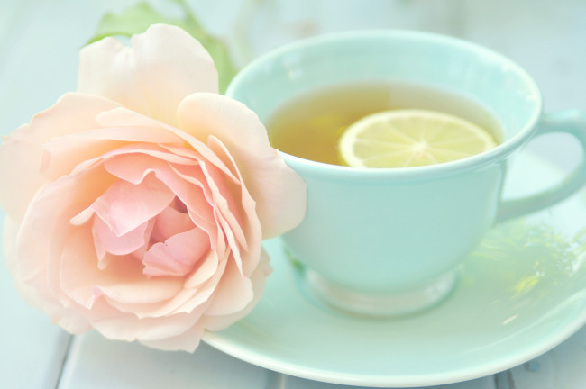 Обои картинки фото еда, напитки, Чай, лимон, роза, чашка