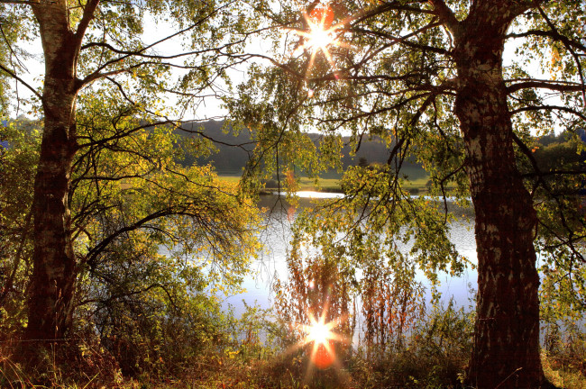 Обои картинки фото германия, бос, природа, реки, озера, река, деревья, лучи, солнца