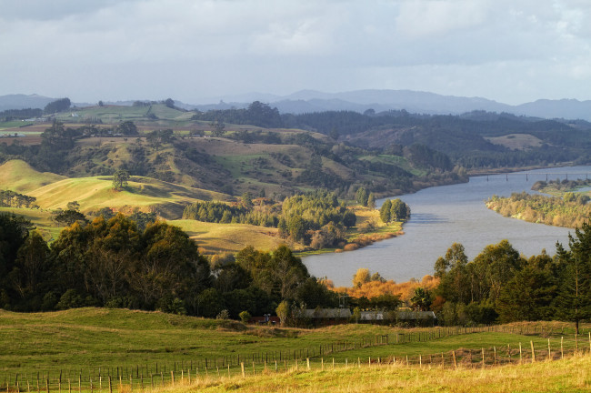 Обои картинки фото waikato, river, новая, зеландия, природа, реки, озера, деревья, панорама, река