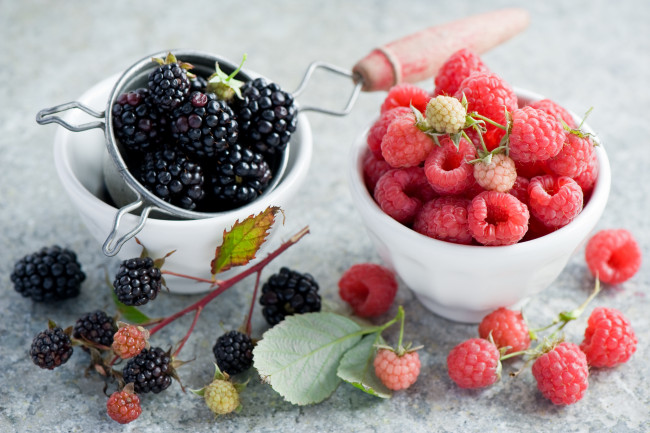 Обои картинки фото еда, фрукты, ягоды, ежевика, малина