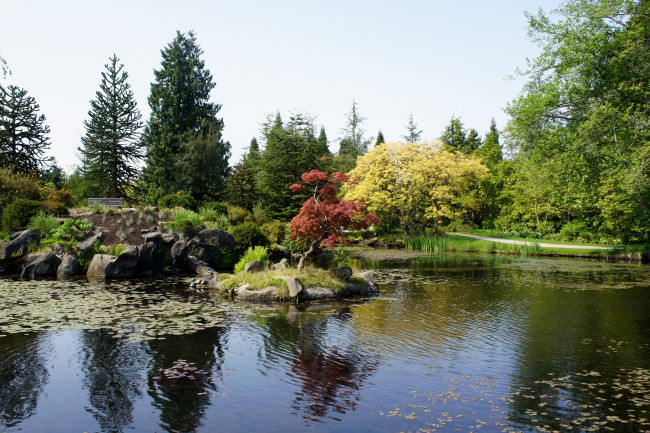 Обои картинки фото vandusen, botanical, garden, vancouver, канада, природа, парк, цветы, деревья, сад, клумба, пруд