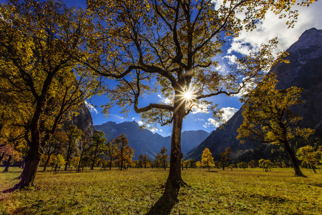 Обои картинки фото ahornboden, austria, природа, деревья, karwendel, австрия, горы, карвендель, долина