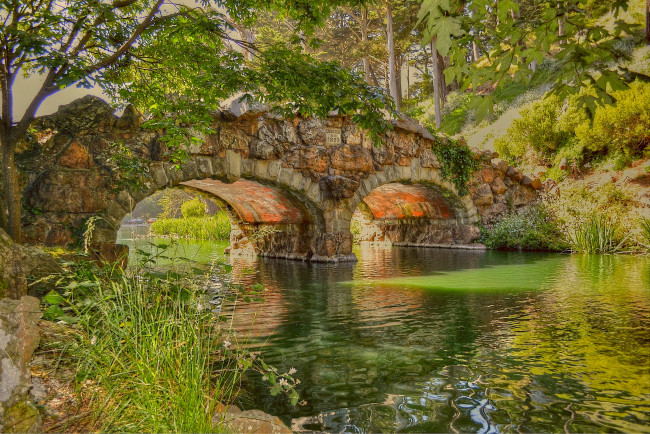 Обои картинки фото природа, реки, озера, река, лес, каменный, мост, трава