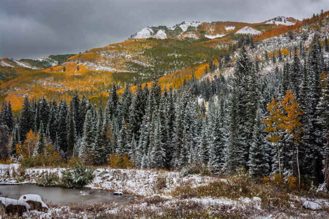 Обои картинки фото utah, природа, горы, осень, снег, водоём, юта, деревья