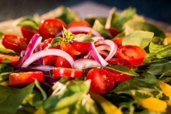 Картинка еда салаты +закуски салат salad