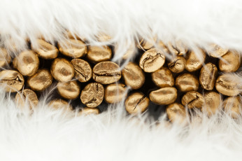 Картинка разное текстуры кофе золото