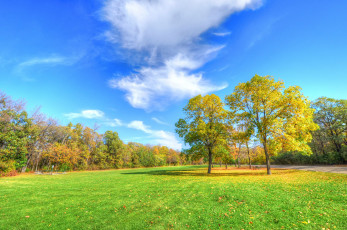 Картинка природа деревья время года осень травка