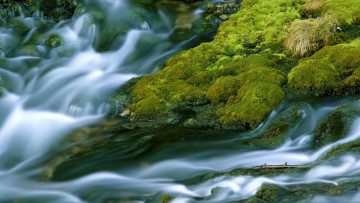Картинка природа реки озера поток