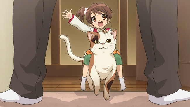 Обои картинки фото аниме, the melancholy of haruhi suzumiya, ноги, кошка, девочка, киса