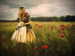 Картинка девушки -unsort+ брюнетки +шатенки роза цветы поле платье маки девушка настроение