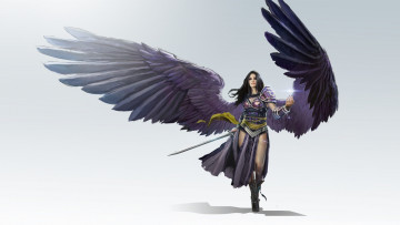 Картинка фэнтези ангелы арт воин lvl девушка black planeswalker todd hebenstreit fantasy крылья оружие
