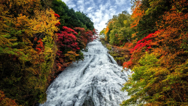 Обои картинки фото природа, водопады, осень, водопад, вода, деревья, поток