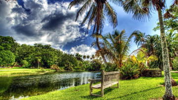 обоя природа, парк, пруд, пальмы, скамейка