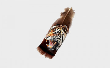 Картинка рисованное -+другое перо тигр