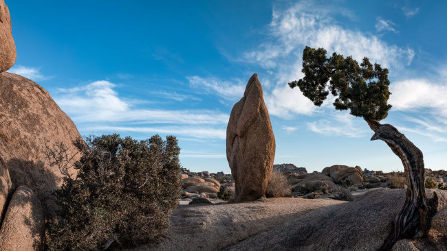 Обои картинки фото penguin rock panorama, joshua tree np, california, природа, горы, penguin, rock, panorama, joshua, tree, np