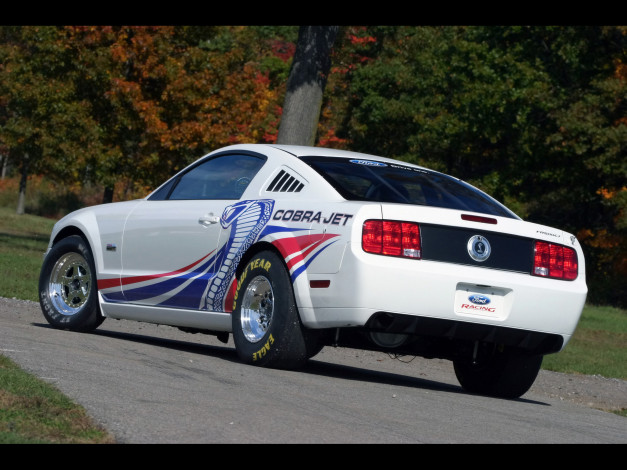 Обои картинки фото 2008, ford, cobra, jet, mustang, автомобили