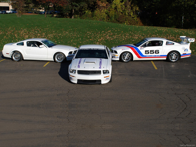 Обои картинки фото ford, mustang, fr500cj, cobra, jet, 2008, автомобили