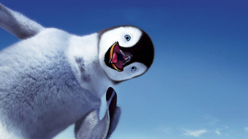 Картинка happy feet мультфильмы пингвин