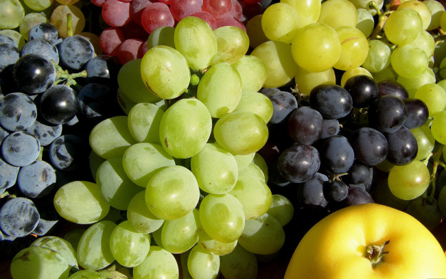 Обои картинки фото еда, виноград, черный, зеленый, желтый