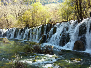 обоя китай, jiuzhaigou, valley, bamboo, falls, природа, водопады, водопад