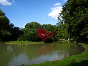 Картинка munchen englischer park природа парк