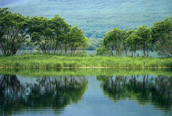 Картинка kamchatka peninsula природа реки озера камчатка залив вода деревья зелень