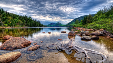 Картинка природа реки озера коряга кустарник отмель лес озеро горы
