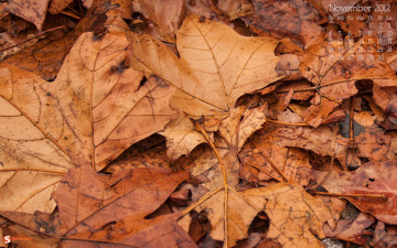 Картинка календари природа осень листья