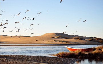 Картинка природа реки озера река птицы лодка пустыня