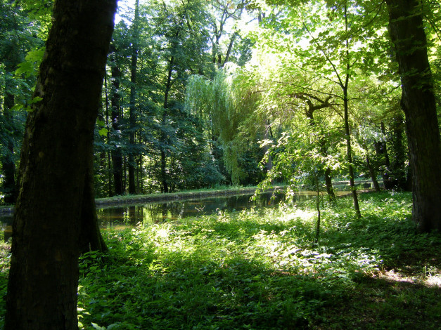 Обои картинки фото германия, мюнхен, nymphenburg, park, природа, парк, деревья, река