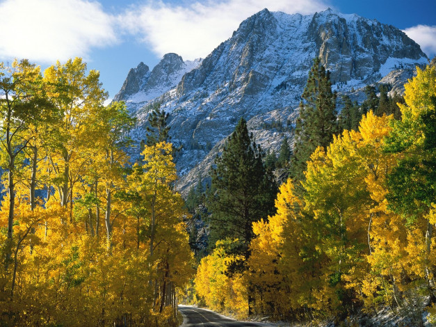 Обои картинки фото природа, горы, осень, лес, дорога