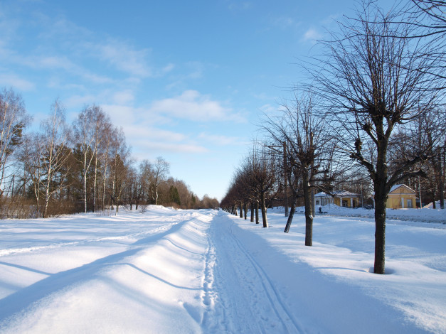 Обои картинки фото природа, зима, снег, деревья, дорога, небо