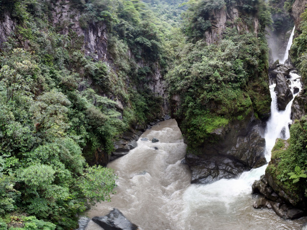 Обои картинки фото водопад, pailondel, diablo, эквадор, природа, водопады, лес