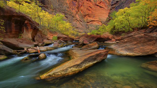 Обои картинки фото canyon, stream, природа, реки, озера, камни, каньон, поток, река, деревья