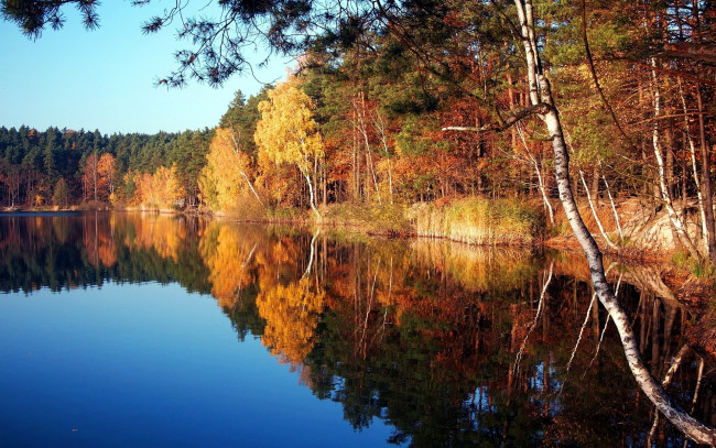 Обои картинки фото природа, реки, озера, осень, деревья, отражение
