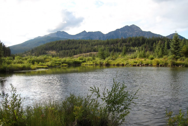 Обои картинки фото jasper, national, park, canada, природа, реки, озера, горы, река, парк