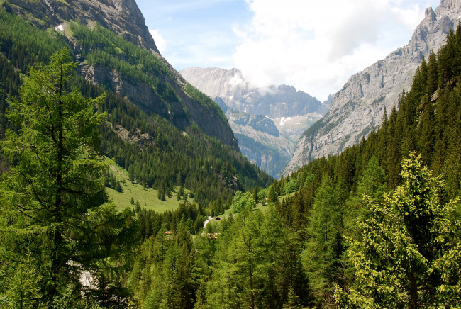Обои картинки фото швейцария, кандерштег, природа, горы, деревья, ели